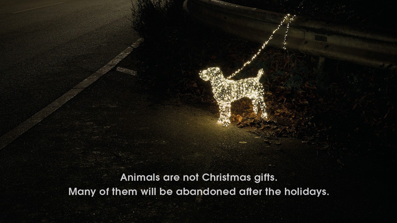 PETA