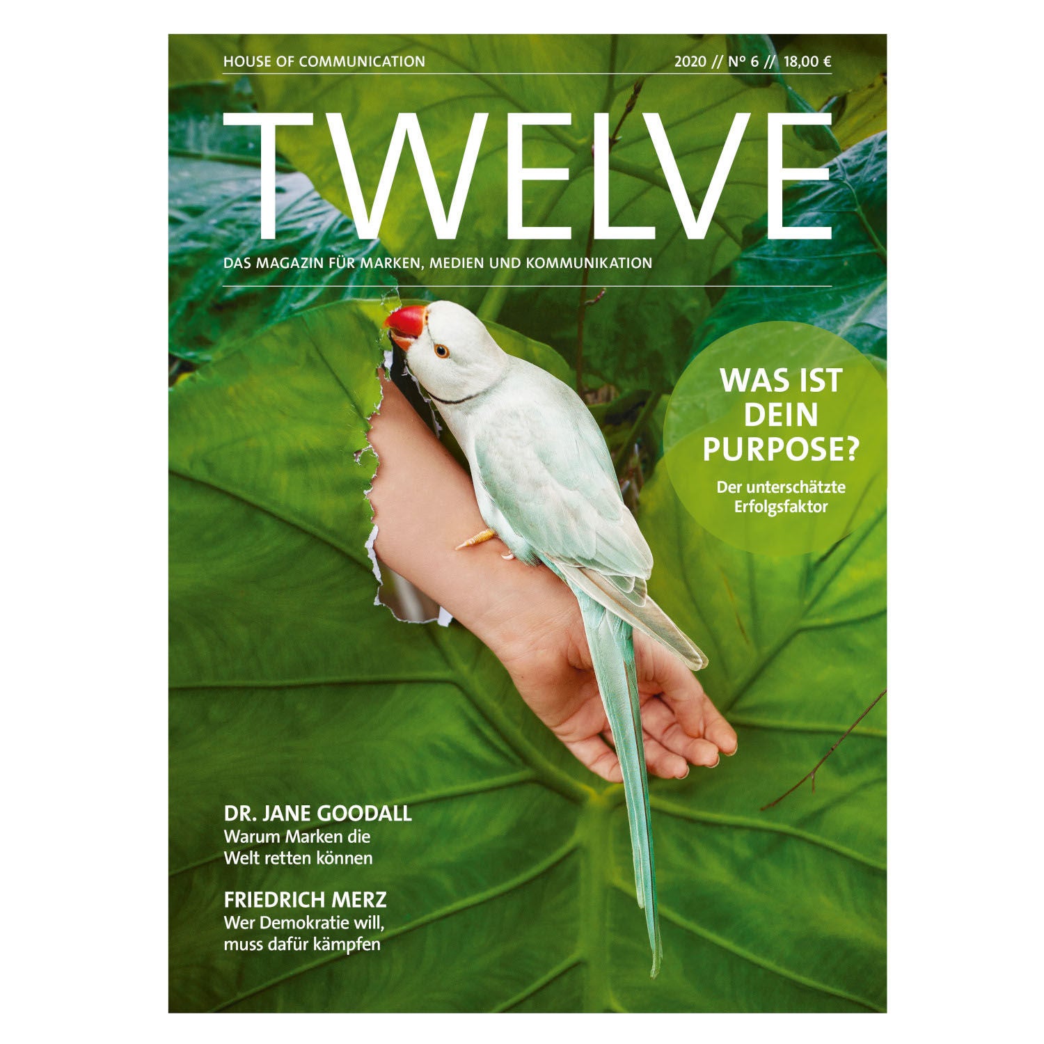 Twelve Magazin 2020