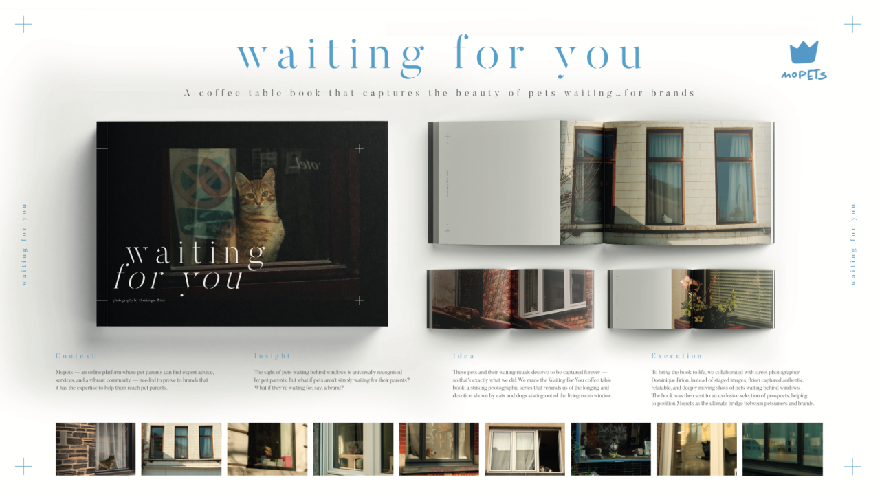 Book spread and photos highlighting pets waiting by windows, from the "Waiting for You" project.