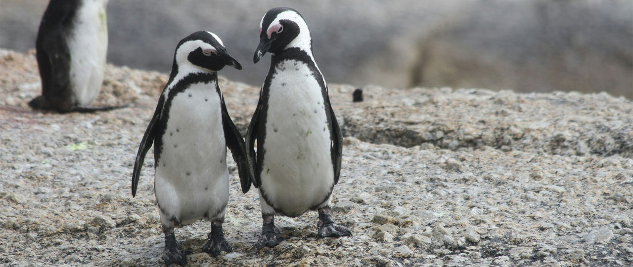 close-up shot of an eye with data and graphs mirrored on the iris