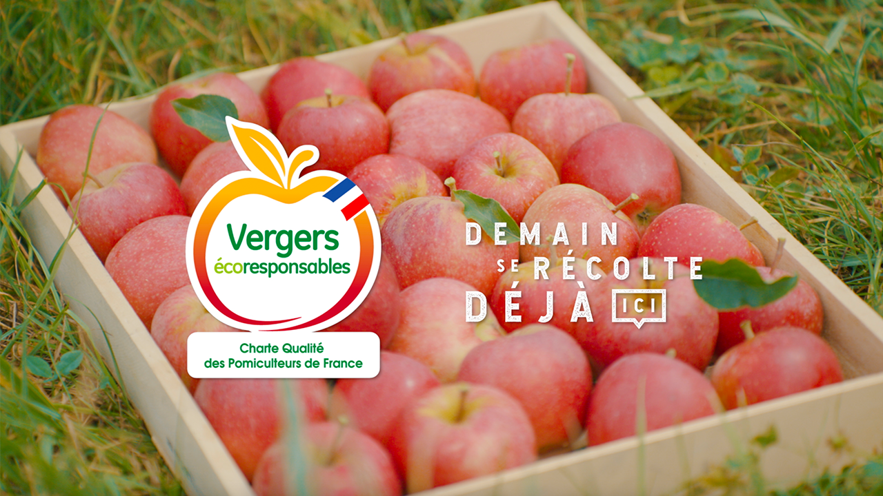 Pommes Vergers éco-responsables x Serviceplan