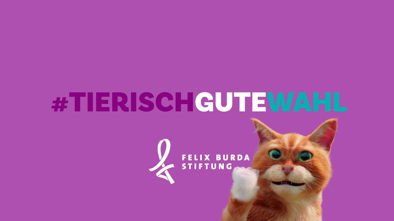 Colorectal Cancer Awareness Month March: Serviceplan and the Felix Burda Foundation give 3D animated animals a voice