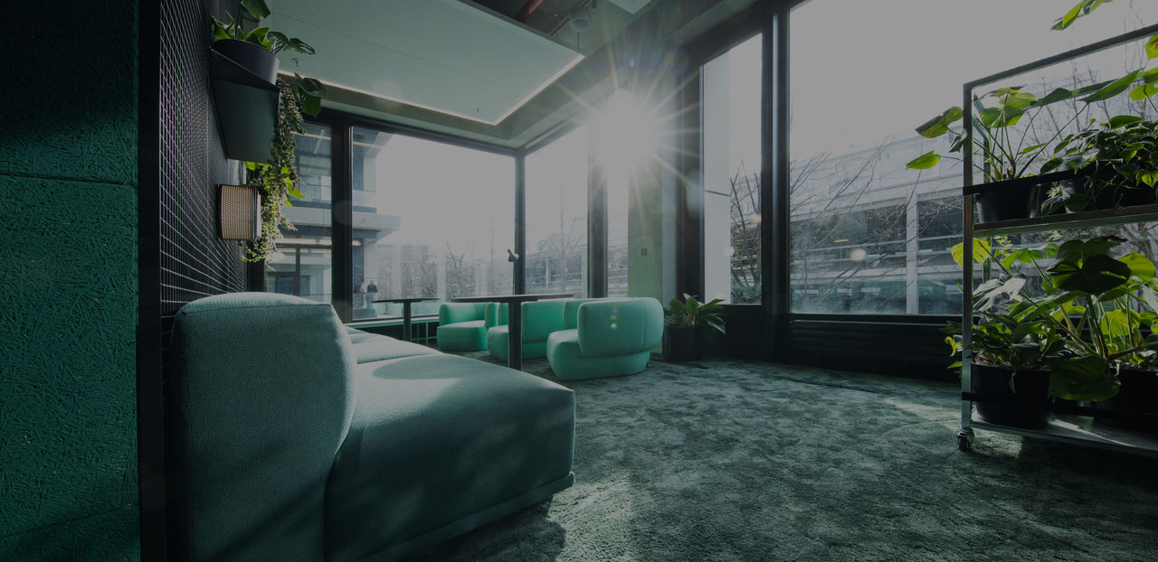 Modernes Lounge-Büro mit großen Fenstern, durch die Sonnenlicht strömt. Die Einrichtung besteht aus grünen Sofas und Sesseln, umgeben von zahlreichen Zimmerpflanzen, die eine entspannende, naturnahe Atmosphäre schaffen