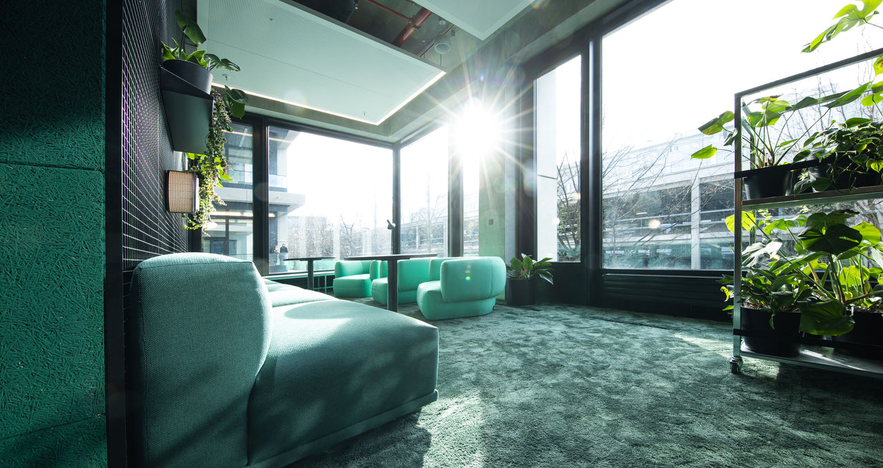 Modernes Lounge-Büro mit großen Fenstern, durch die Sonnenlicht strömt. Die Einrichtung besteht aus grünen Sofas und Sesseln, umgeben von zahlreichen Zimmerpflanzen, die eine entspannende, naturnahe Atmosphäre schaffen