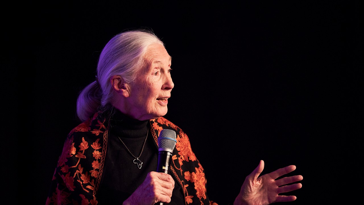 20200219 Best Brands 2020 Winners