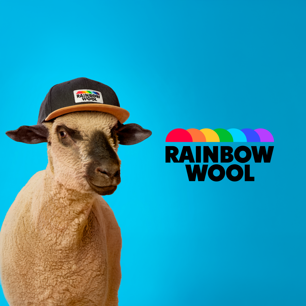 Rainbow Wool